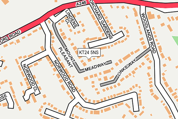 KT24 5NS map - OS OpenMap – Local (Ordnance Survey)