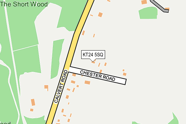 KT24 5SQ map - OS OpenMap – Local (Ordnance Survey)