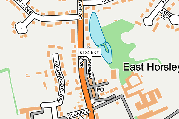 KT24 6RY map - OS OpenMap – Local (Ordnance Survey)