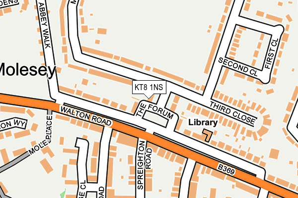 KT8 1NS map - OS OpenMap – Local (Ordnance Survey)