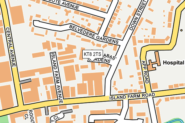 KT8 2TS map - OS OpenMap – Local (Ordnance Survey)