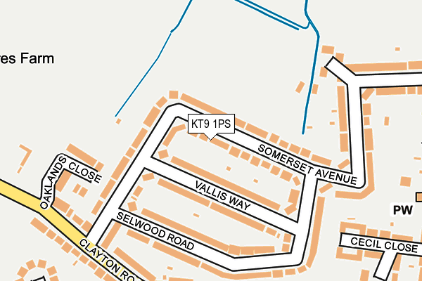KT9 1PS map - OS OpenMap – Local (Ordnance Survey)