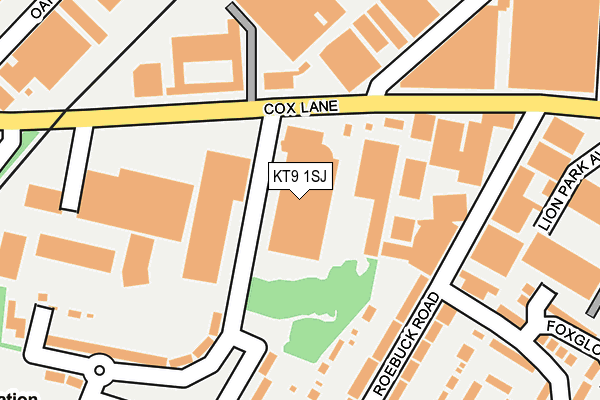 KT9 1SJ map - OS OpenMap – Local (Ordnance Survey)