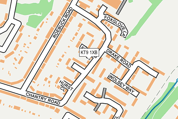 KT9 1XB map - OS OpenMap – Local (Ordnance Survey)