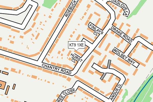 KT9 1XE map - OS OpenMap – Local (Ordnance Survey)