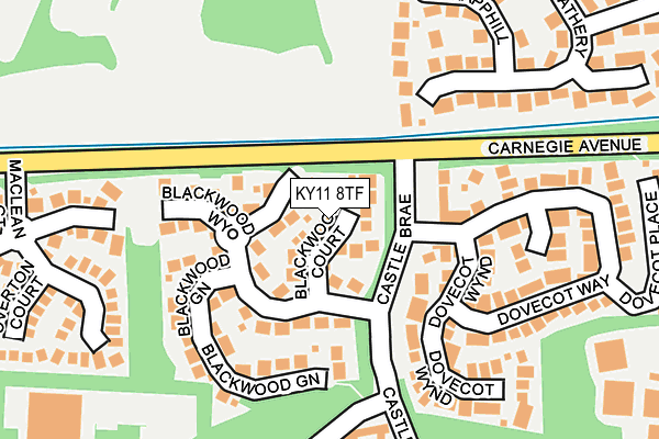 KY11 8TF map - OS OpenMap – Local (Ordnance Survey)