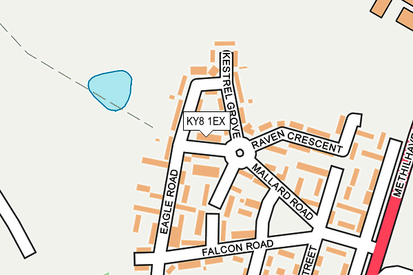 KY8 1EX map - OS OpenMap – Local (Ordnance Survey)