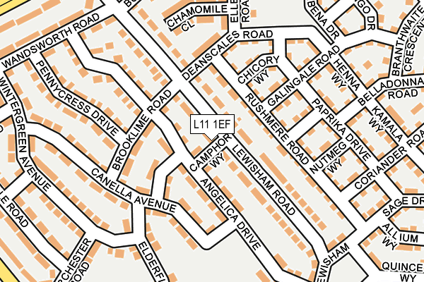 L11 1EF map - OS OpenMap – Local (Ordnance Survey)