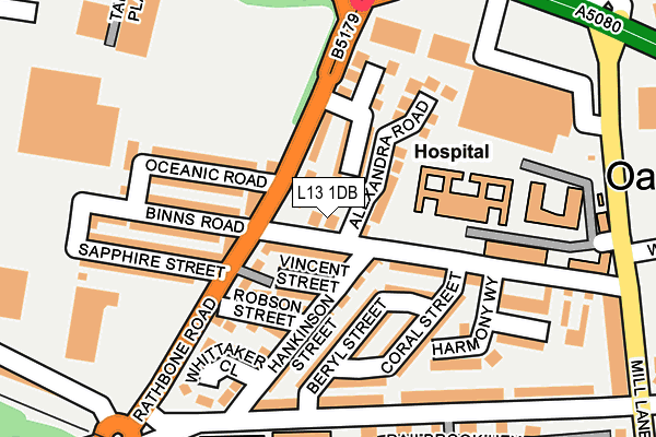 L13 1DB map - OS OpenMap – Local (Ordnance Survey)