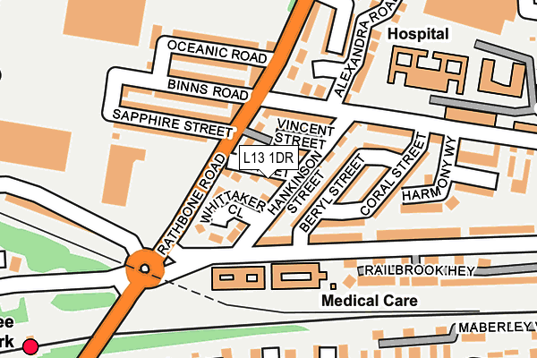L13 1DR map - OS OpenMap – Local (Ordnance Survey)
