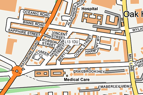 L13 1DU map - OS OpenMap – Local (Ordnance Survey)