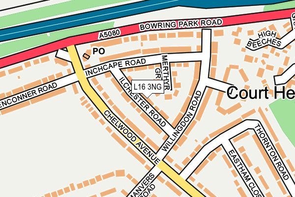 L16 3NG map - OS OpenMap – Local (Ordnance Survey)