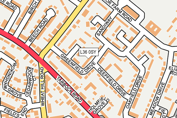 L36 0SY map - OS OpenMap – Local (Ordnance Survey)