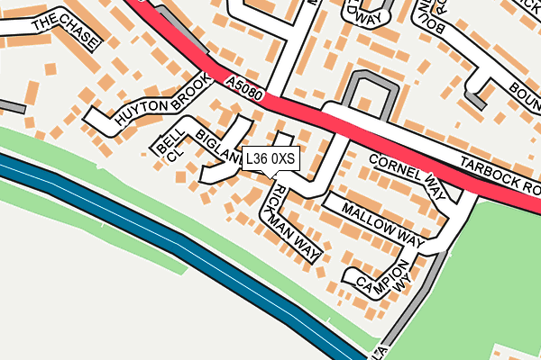 L36 0XS map - OS OpenMap – Local (Ordnance Survey)