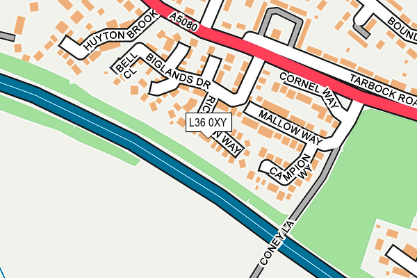L36 0XY map - OS OpenMap – Local (Ordnance Survey)