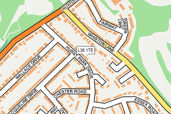 L36 1TE map - OS OpenMap – Local (Ordnance Survey)