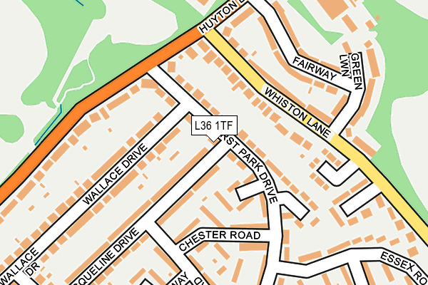 L36 1TF map - OS OpenMap – Local (Ordnance Survey)