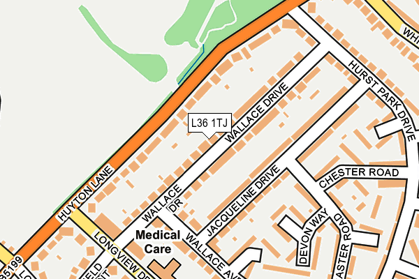 L36 1TJ map - OS OpenMap – Local (Ordnance Survey)