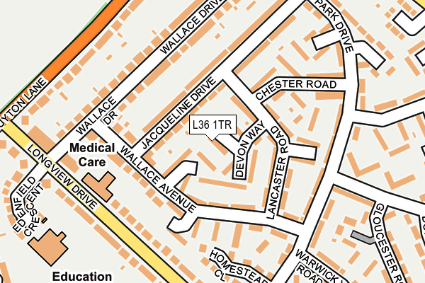 L36 1TR map - OS OpenMap – Local (Ordnance Survey)