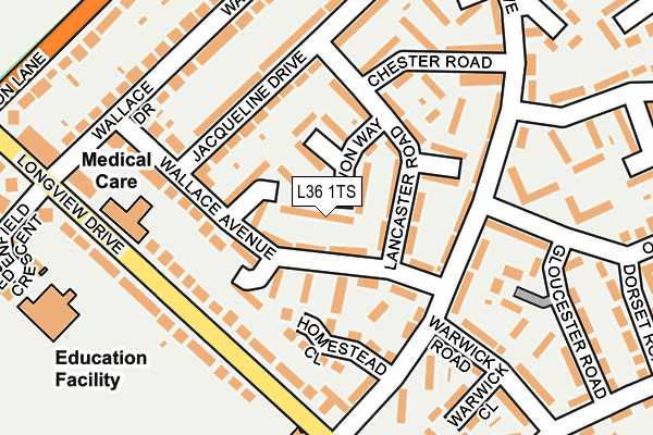 L36 1TS map - OS OpenMap – Local (Ordnance Survey)