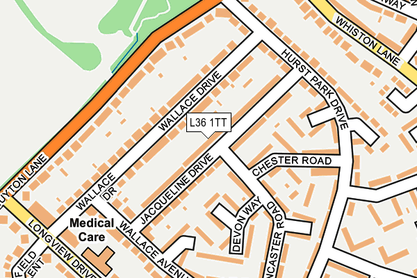 L36 1TT map - OS OpenMap – Local (Ordnance Survey)