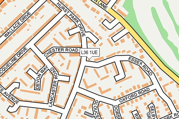 L36 1UE map - OS OpenMap – Local (Ordnance Survey)