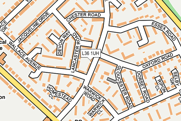 L36 1UH map - OS OpenMap – Local (Ordnance Survey)