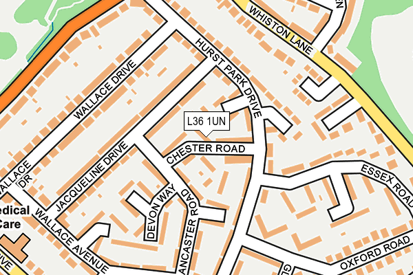 L36 1UN map - OS OpenMap – Local (Ordnance Survey)