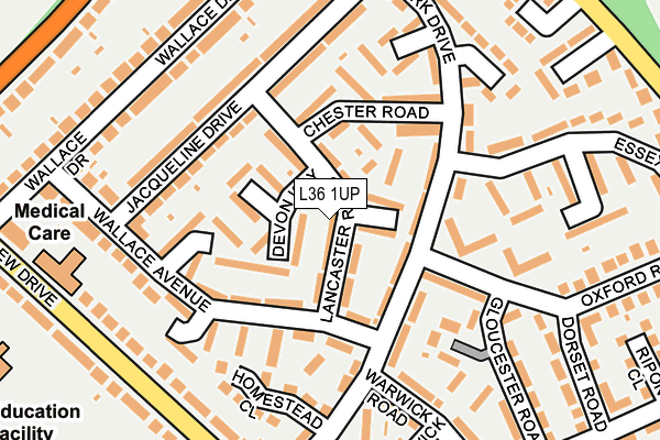 L36 1UP map - OS OpenMap – Local (Ordnance Survey)
