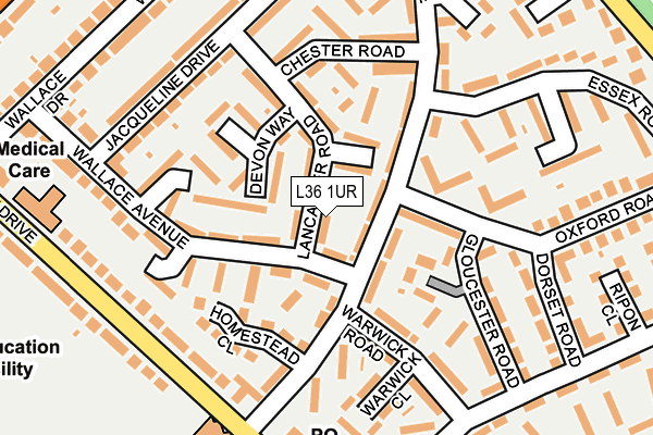 L36 1UR map - OS OpenMap – Local (Ordnance Survey)