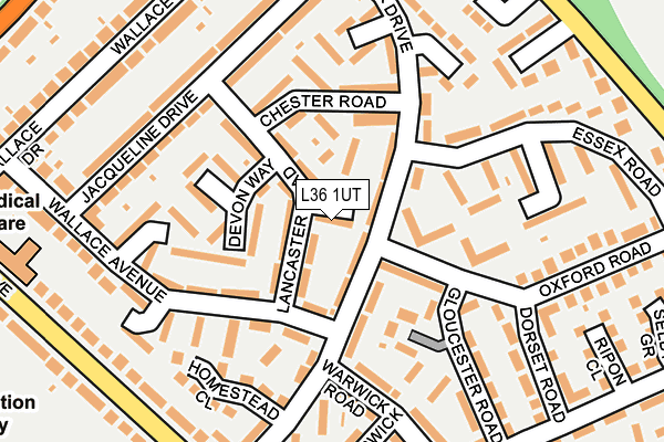 L36 1UT map - OS OpenMap – Local (Ordnance Survey)