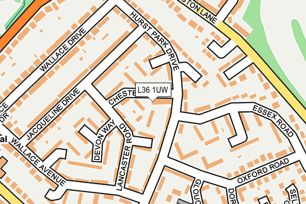 L36 1UW map - OS OpenMap – Local (Ordnance Survey)