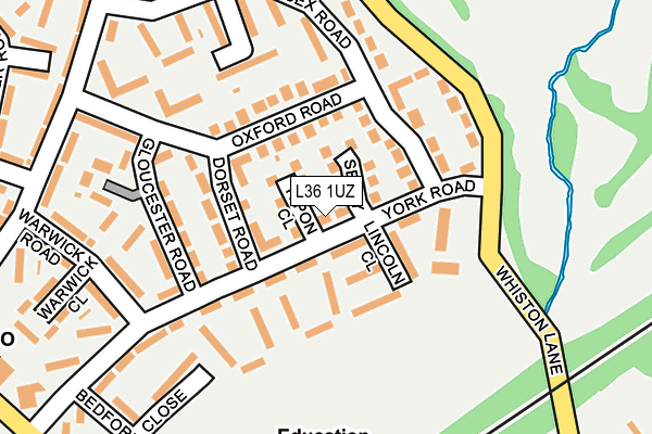 L36 1UZ map - OS OpenMap – Local (Ordnance Survey)