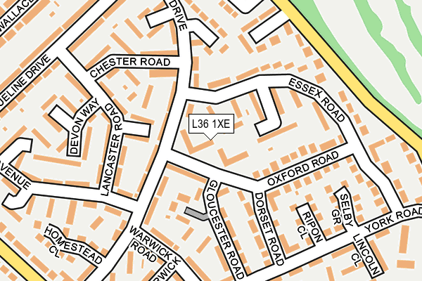 L36 1XE map - OS OpenMap – Local (Ordnance Survey)