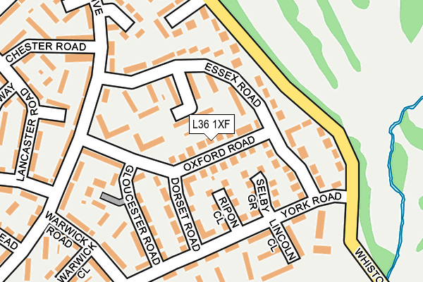 L36 1XF map - OS OpenMap – Local (Ordnance Survey)