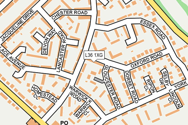 L36 1XG map - OS OpenMap – Local (Ordnance Survey)