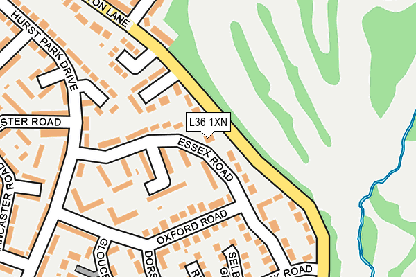 L36 1XN map - OS OpenMap – Local (Ordnance Survey)