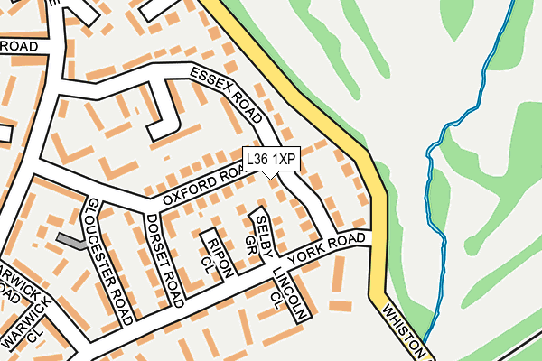 L36 1XP map - OS OpenMap – Local (Ordnance Survey)