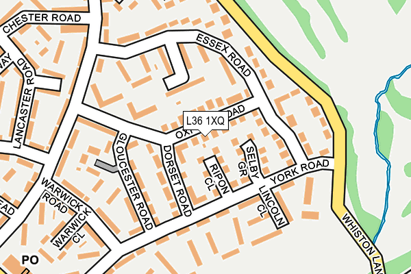L36 1XQ map - OS OpenMap – Local (Ordnance Survey)