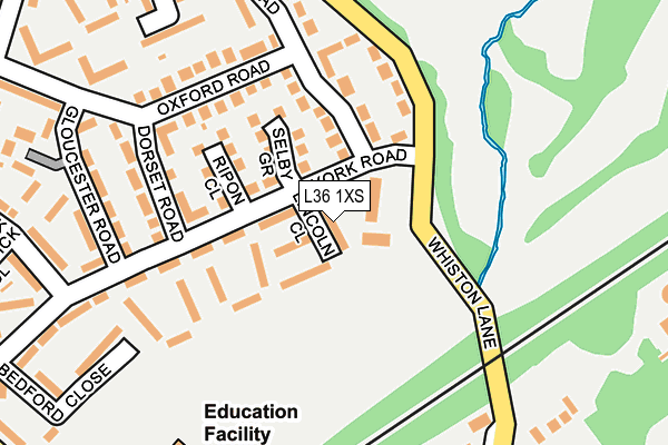 L36 1XS map - OS OpenMap – Local (Ordnance Survey)