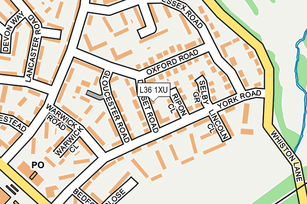 L36 1XU map - OS OpenMap – Local (Ordnance Survey)