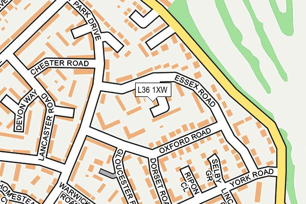 L36 1XW map - OS OpenMap – Local (Ordnance Survey)