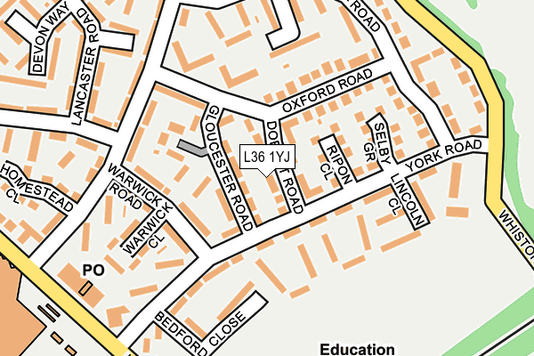 L36 1YJ map - OS OpenMap – Local (Ordnance Survey)