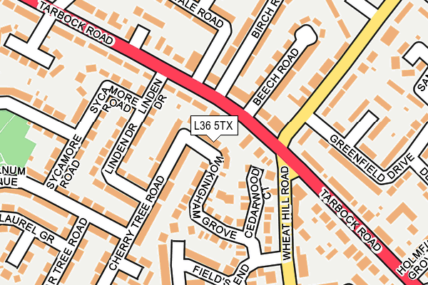 L36 5TX map - OS OpenMap – Local (Ordnance Survey)