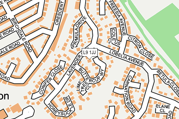 L9 1JJ map - OS OpenMap – Local (Ordnance Survey)