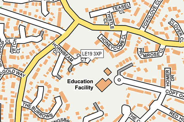 LE19 3XP map - OS OpenMap – Local (Ordnance Survey)