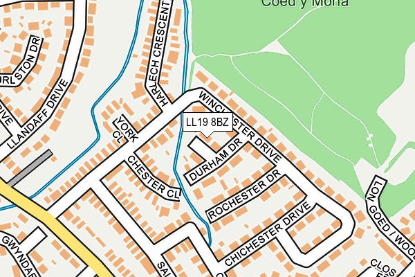 LL19 8BZ map - OS OpenMap – Local (Ordnance Survey)