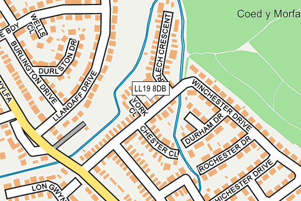 LL19 8DB map - OS OpenMap – Local (Ordnance Survey)