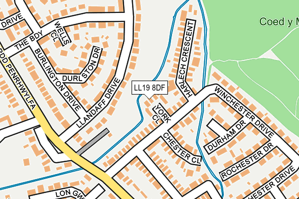 LL19 8DF map - OS OpenMap – Local (Ordnance Survey)