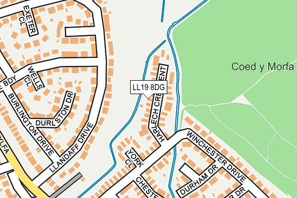 LL19 8DG map - OS OpenMap – Local (Ordnance Survey)